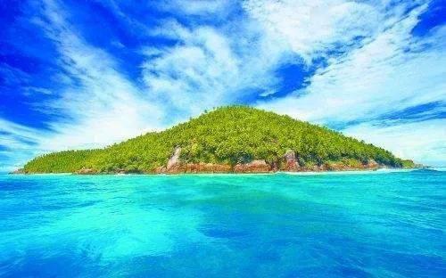 冷知识分享平台——